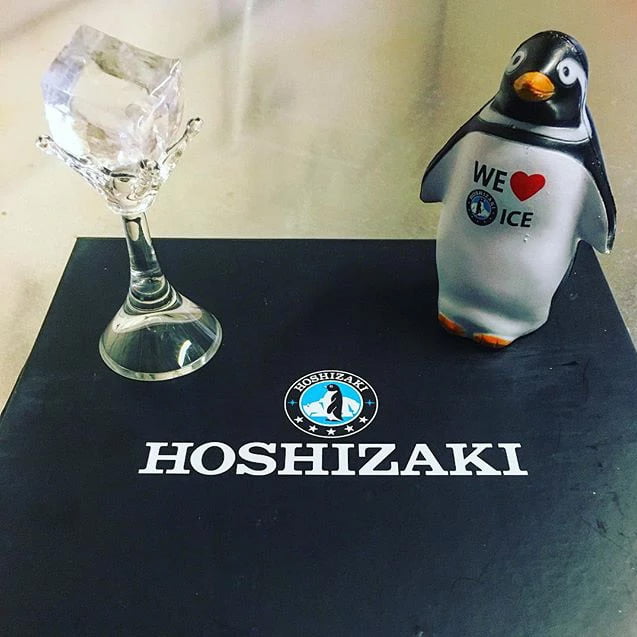Suppliers of Hoshizaki ice